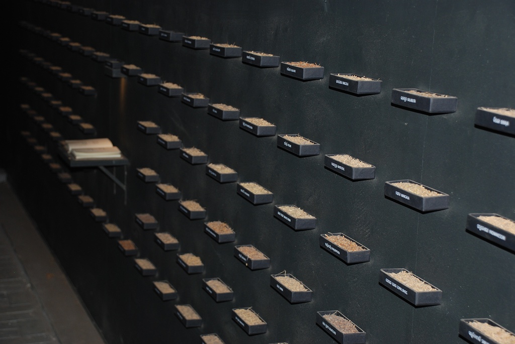 Kochi Biennale_Dec 2012_ 087