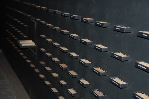 Kochi Biennale_Dec 2012_ 087