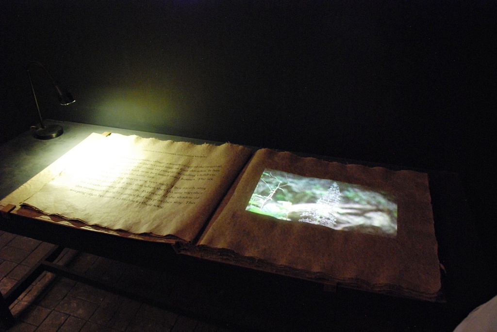 Kochi Biennale_Dec 2012_ 101