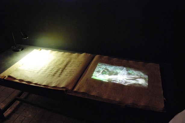 Kochi Biennale_Dec 2012_ 101