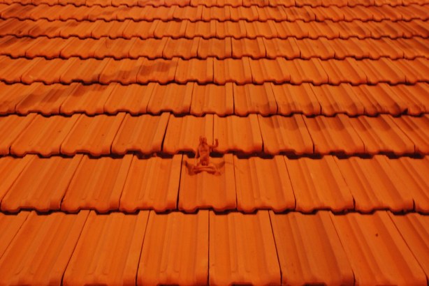 Kochi Biennale_Dec 2012_ 190